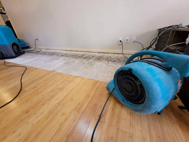 Professional Structural Drying technician working in Brooks, KY